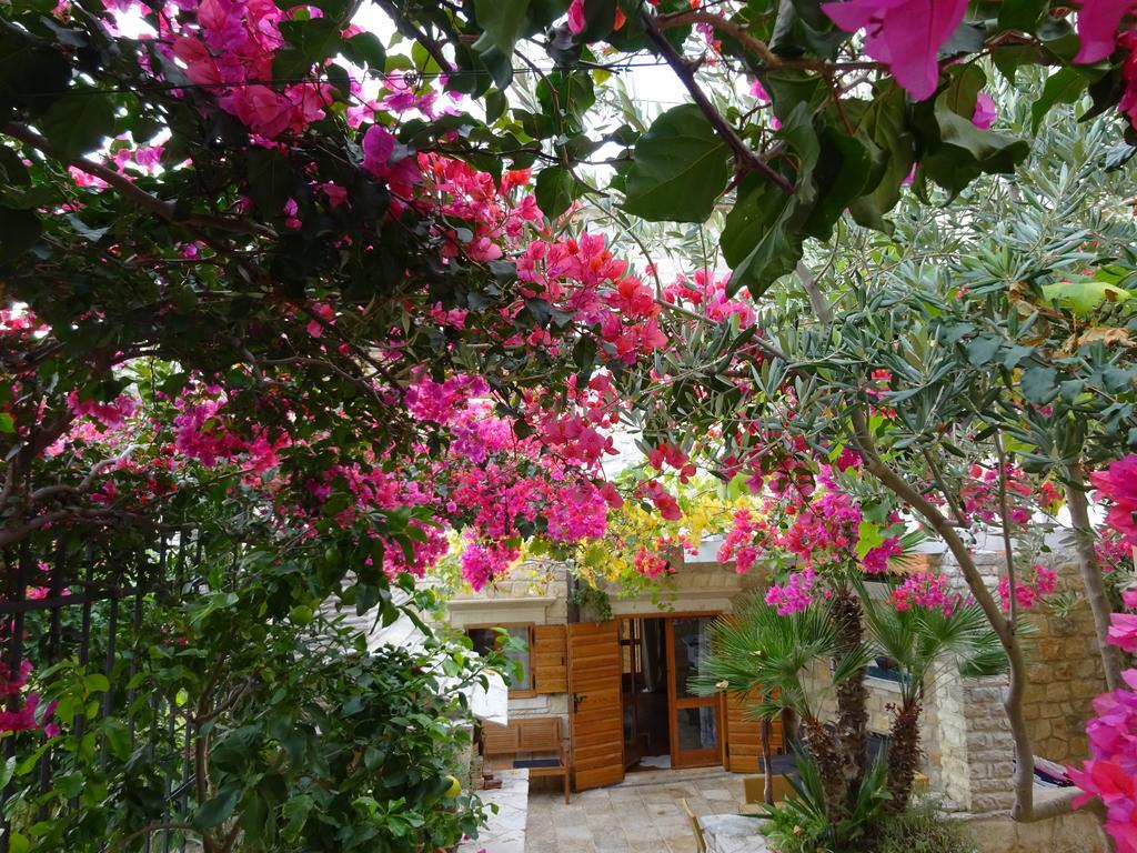 Villa Alma Island Vis Komiža